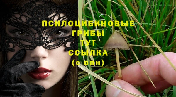 синтетический гашиш Бородино