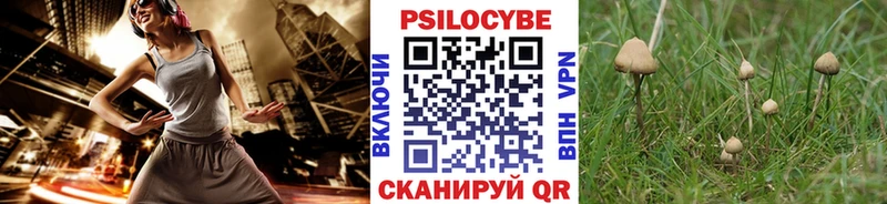 Галлюциногенные грибы Cubensis  наркошоп  Обь 